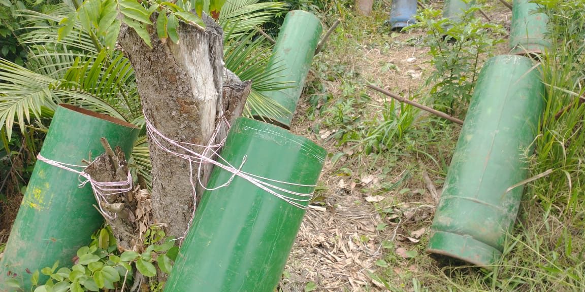 PHOTO-2021-10-28-15-13-41 (1)